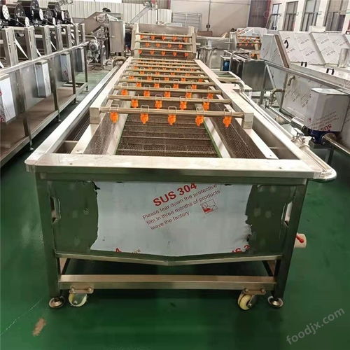 蔬菜清洗機 普通機械設備安裝服務詳解